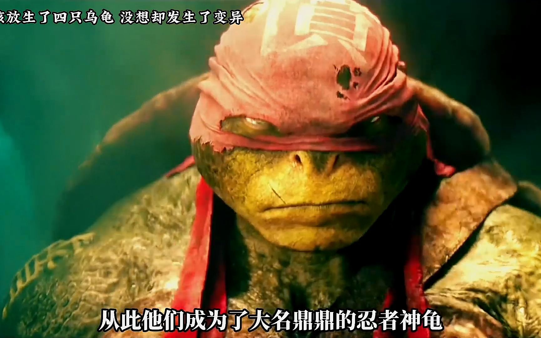 忍者神龟:女孩放生了四只乌龟和老鼠,没想到基因发生了变异 #科幻电影