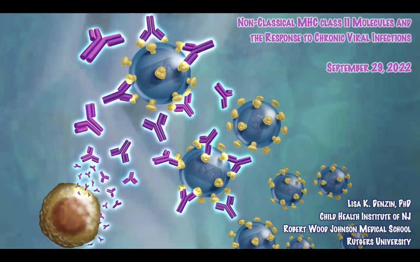 Nonclassical MHC class II molecules modulate the immune response to chronic vir哔哩哔哩bilibili