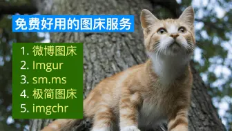 图床推荐，上传图片来这儿就对了