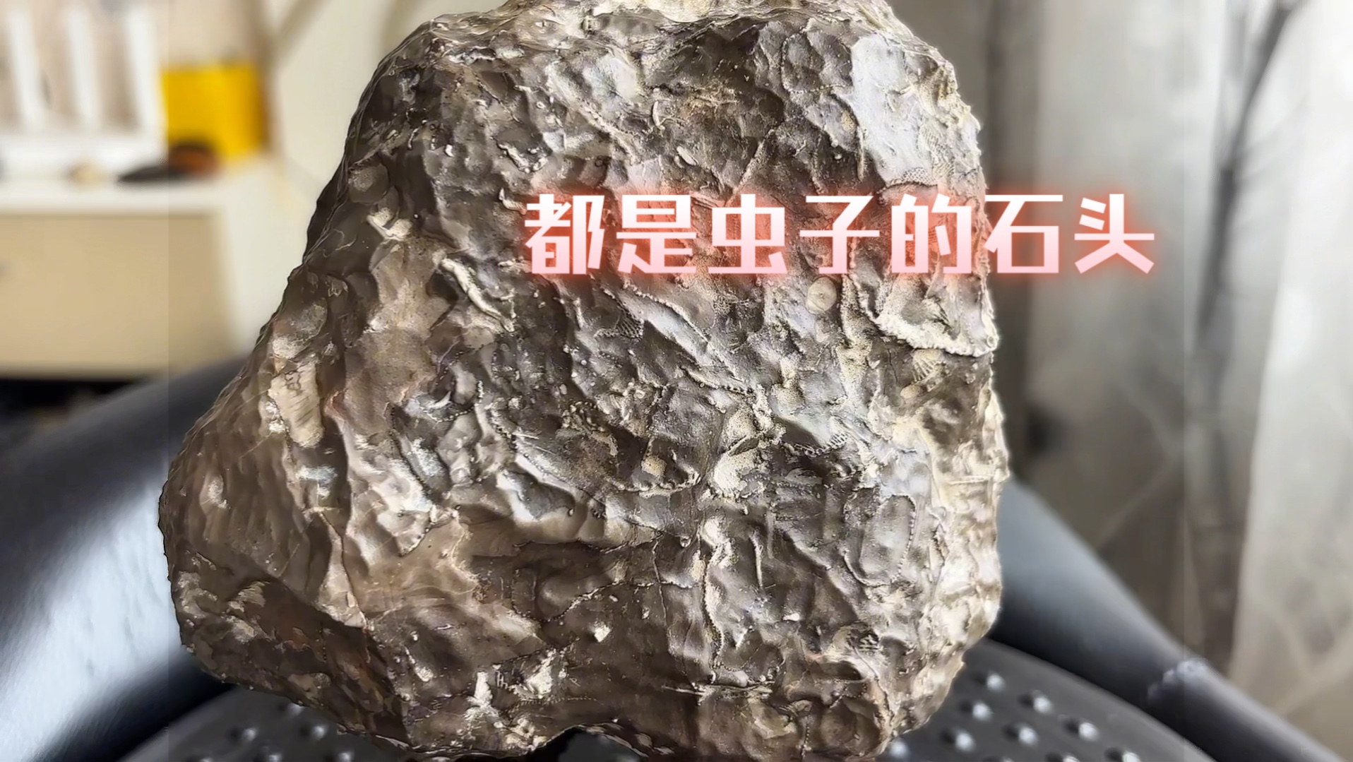 都是虫子的石头奇奇怪怪的感觉,来一起看看吧