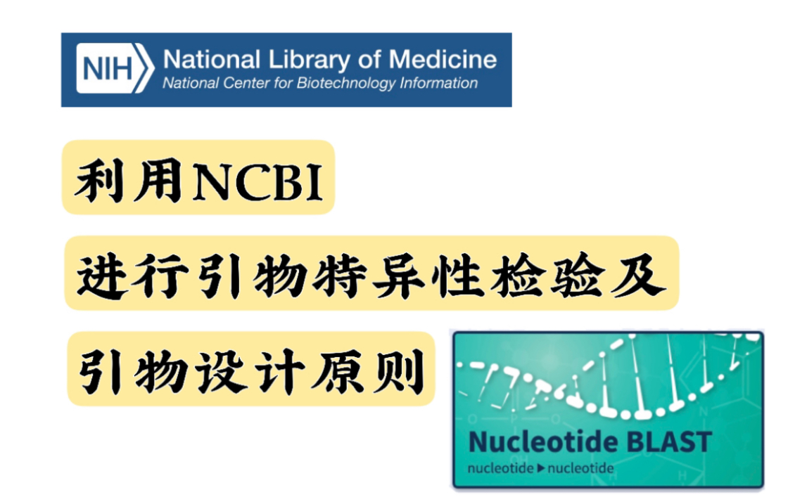 利用NCBI进行引物特异性检验,以及引物设计原则、引物修饰等哔哩哔哩bilibili