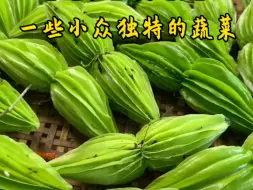 Download Video: 一些小众独特的南方蔬菜，你都吃过哪几种？