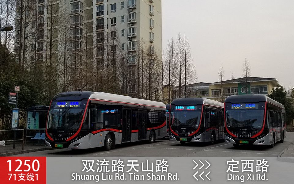 上海公交1250路图片