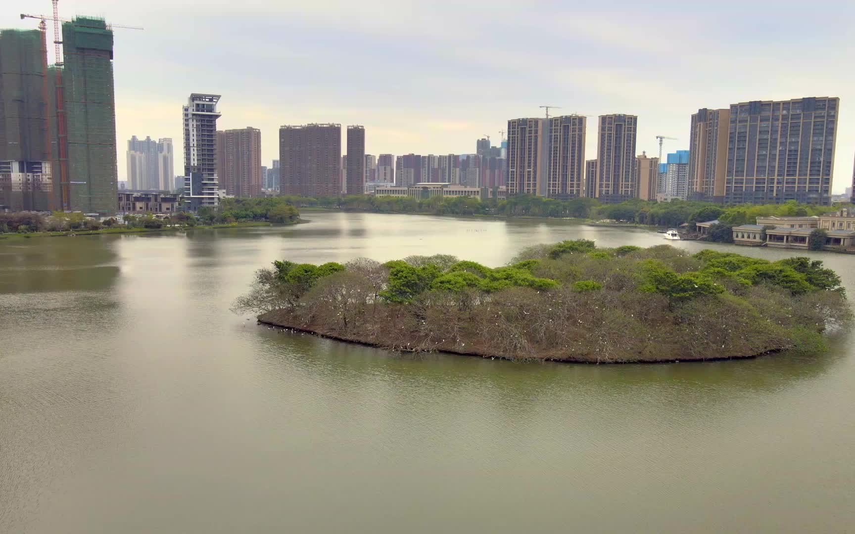 绿岛湖湿地公园vlog