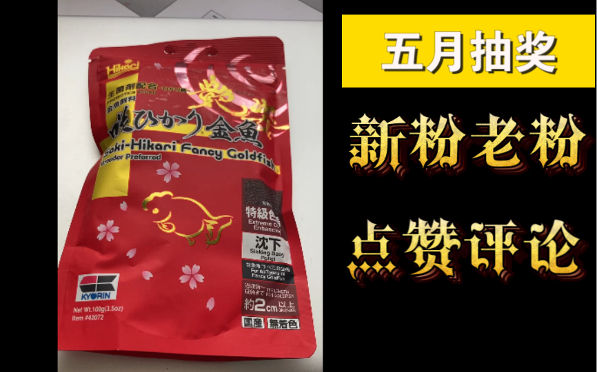 5月抽奖 包邮送进口高够力特级色扬兰寿金鱼饲料 活动规则简单 关注我(老粉丝无需重复操作)+点赞+评论本视频 按留言时间定抽奖编号哔哩哔哩bilibili