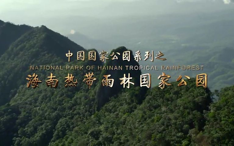国家公园系列--海南热带雨林国家公园