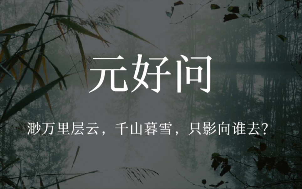 【元好问】渺万里层云,千山暮雪,只影向谁去?哔哩哔哩bilibili