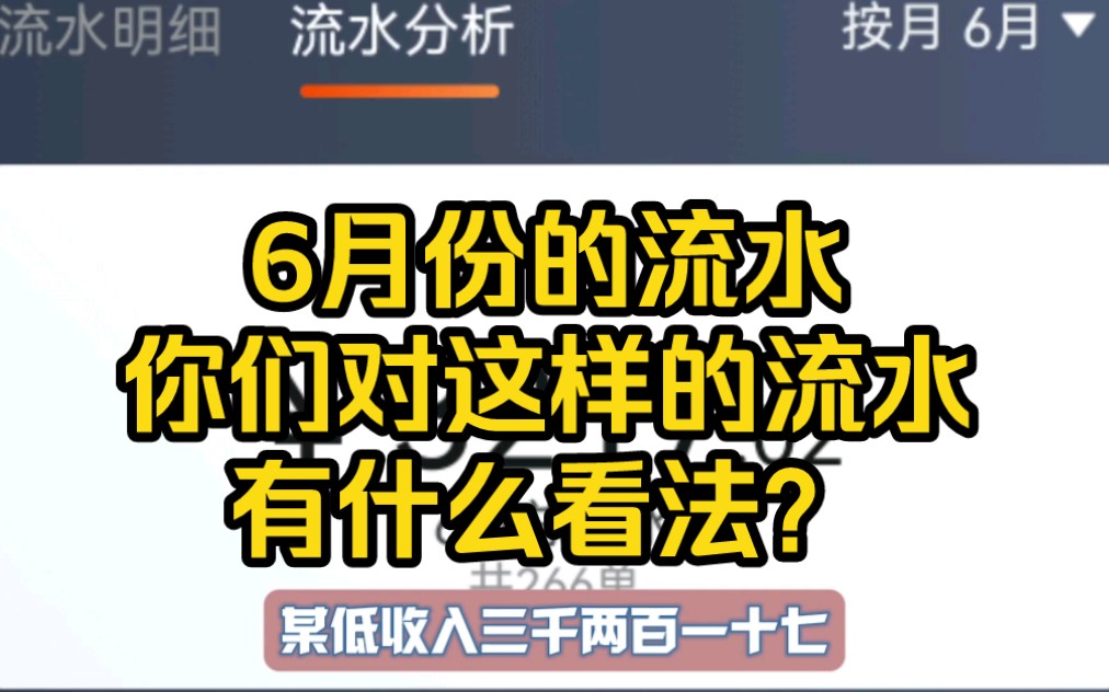 6月份整个月的流水出来了,你们对这样的流水有什么看法?哔哩哔哩bilibili