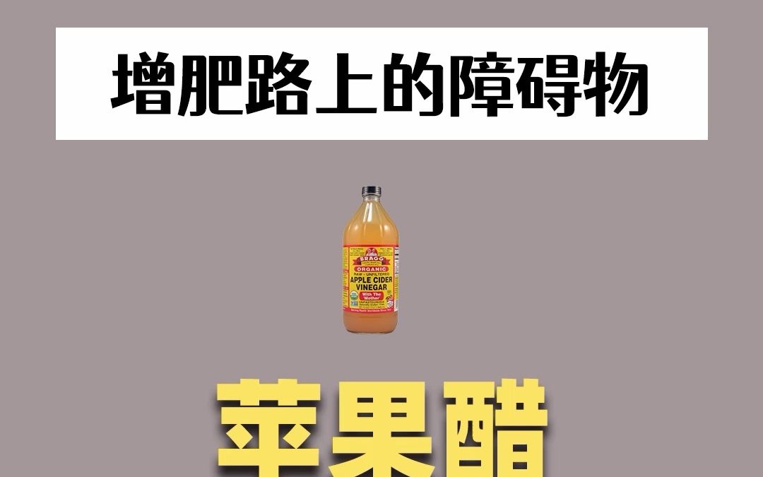 增肥路上的障碍物——苹果醋哔哩哔哩bilibili