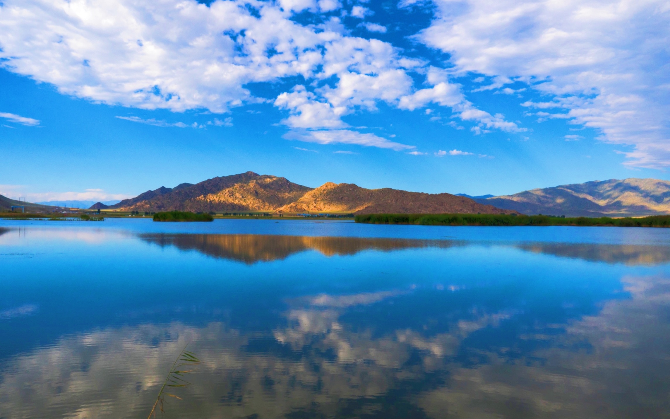 新疆可可托海,一个要办边防通行证才能来的地方
