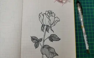 玫瑰花画法 搜索结果 哔哩哔哩 Bilibili 玫瑰花画法 搜索结果 哔哩哔哩 Bilibili