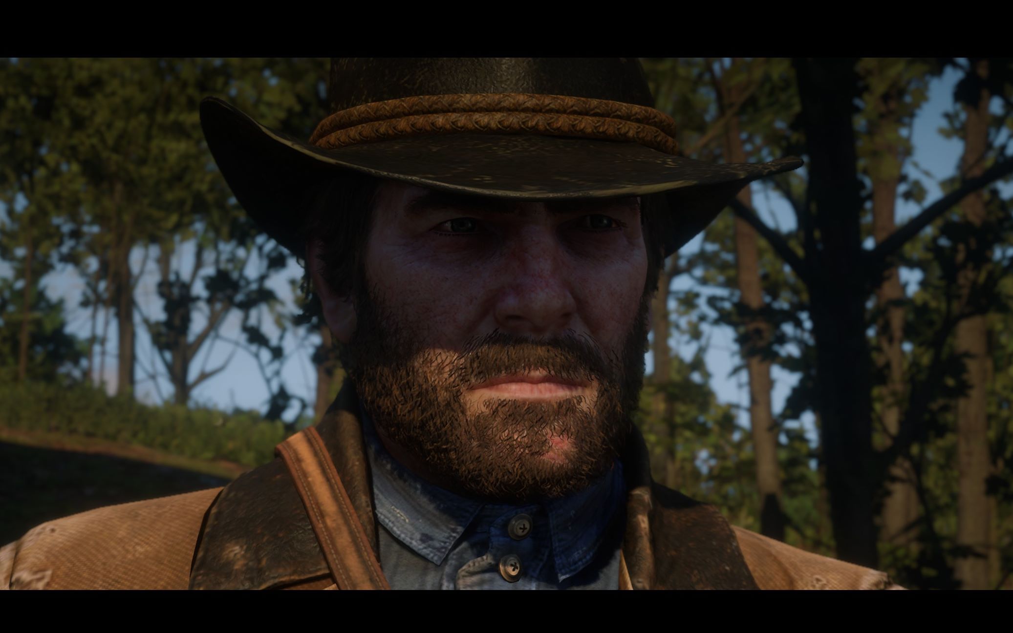 【荒野大镖客:救赎2】大表哥2结局 亚瑟·摩根的救赎 鹿结局