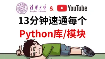 13分钟速通每个Python库/模块 ｜ Python 常用库，适合所有零基础小白入门学习，油管大佬全程干货无废话！少走99%的弯路！