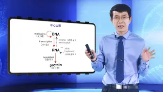 Descargar video: 中心法则