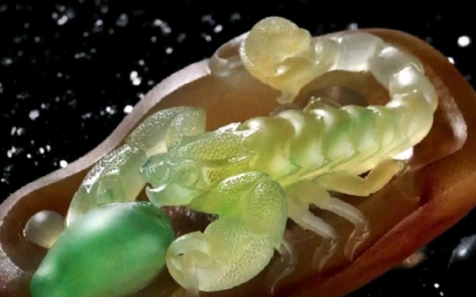 霸气的翡翠蝎子,富甲一方