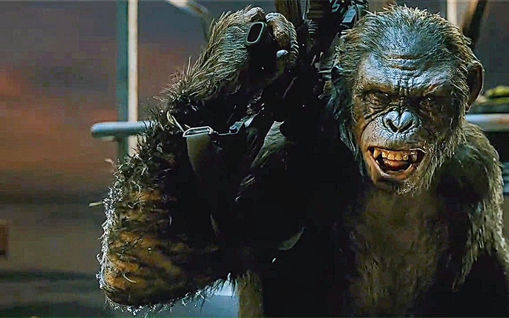 活动  猩球崛起:智能进化猿人科巴暗杀首领,挑起与人类的战争一触即发