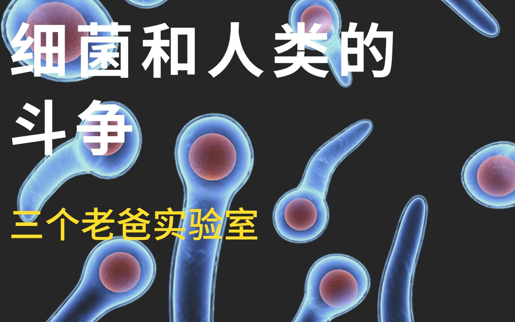 [图]人类与细菌的斗争，生物圈没有霸主，只有互相进化！