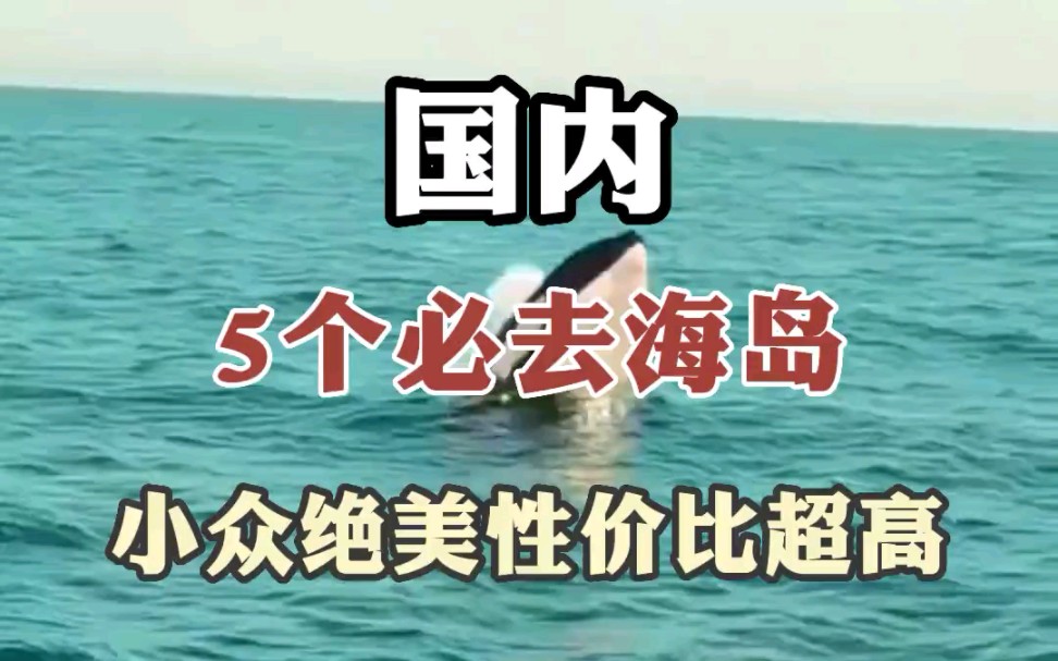 国内5个必去海岛,小众绝美性价比高哔哩哔哩bilibili