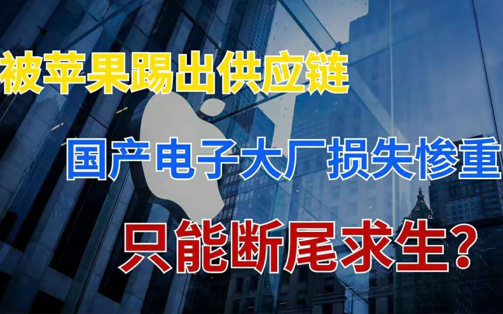 被苹果“踢出”供应链,国产电子大厂损失惨重,一年亏掉19亿!哔哩哔哩bilibili