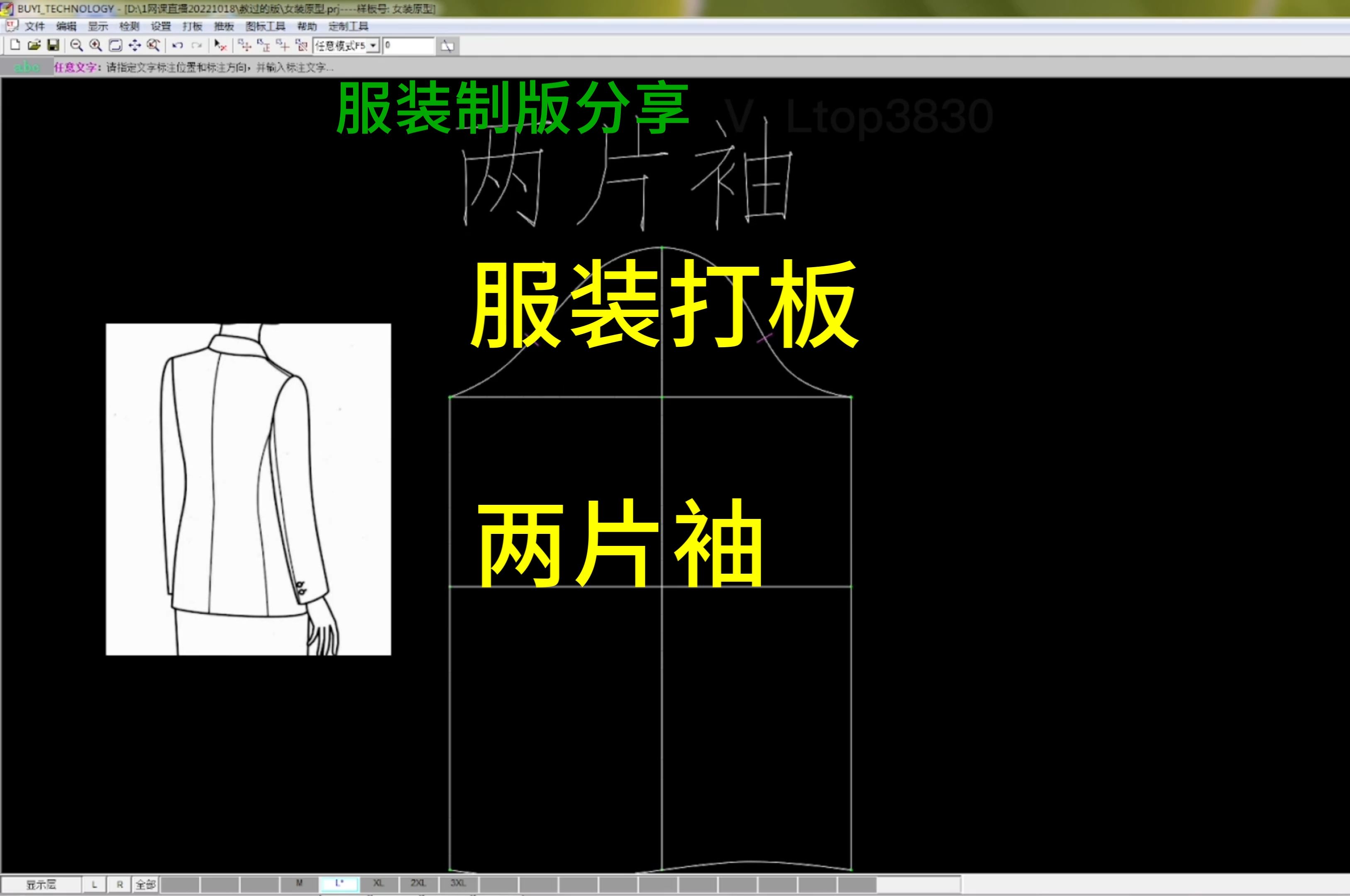 两片袖立裁图片