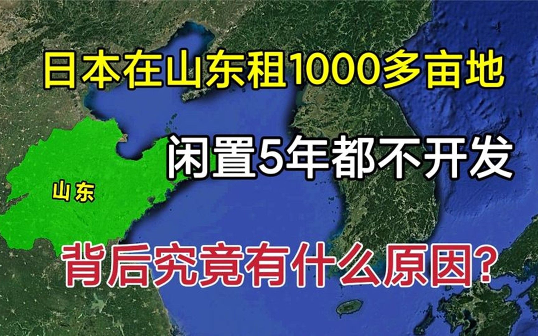 日本在山东租1000多亩地,闲置5年却不开发,究竟是为什么?哔哩哔哩bilibili