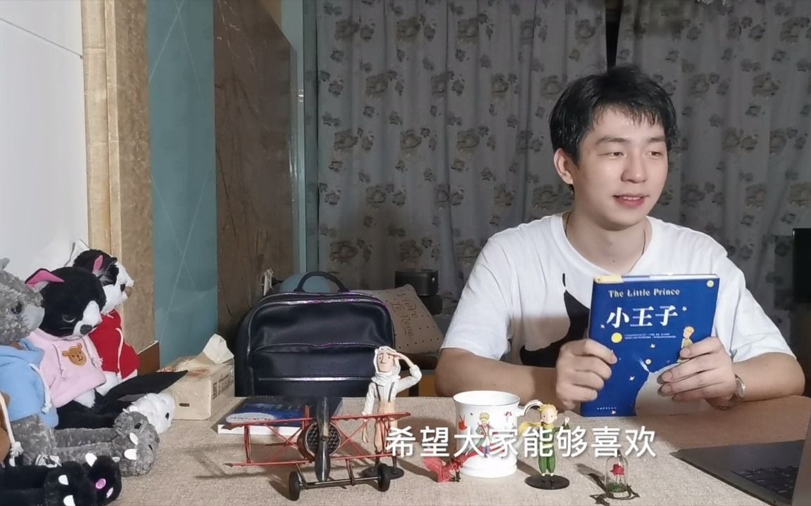 《小王子》竟是作者临终前对人生的回忆?哔哩哔哩bilibili