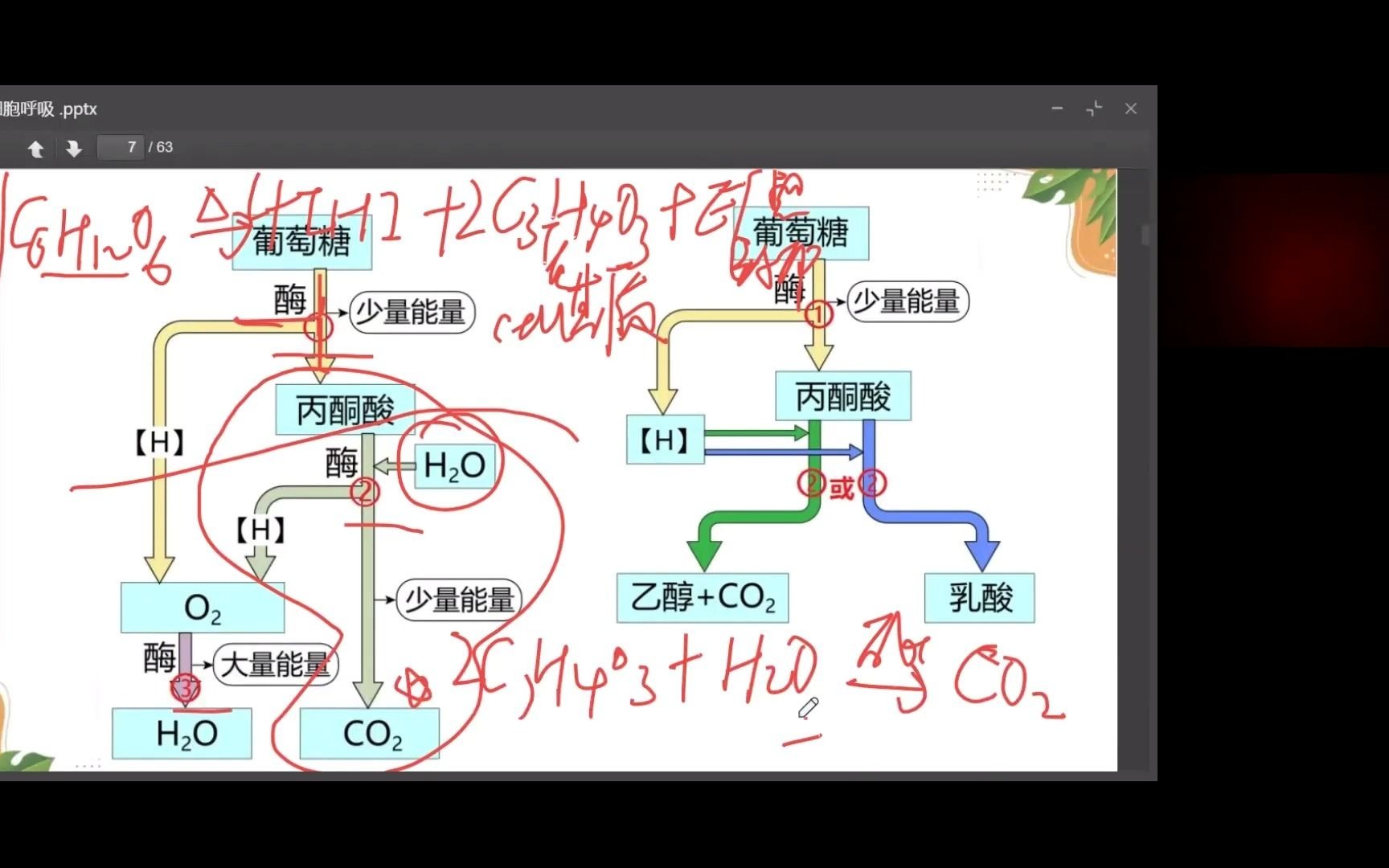 活動作品重難點來嘍細胞呼吸有氧第二三階段