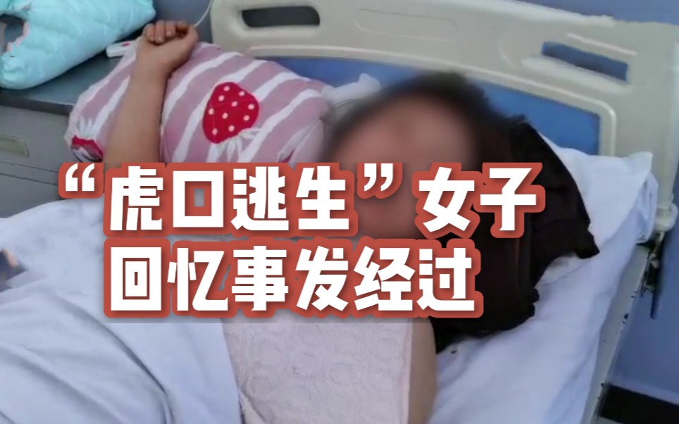 [图]被东北虎袭击女子讲述事发经过：我当时傻眼了，没反应过来是老虎