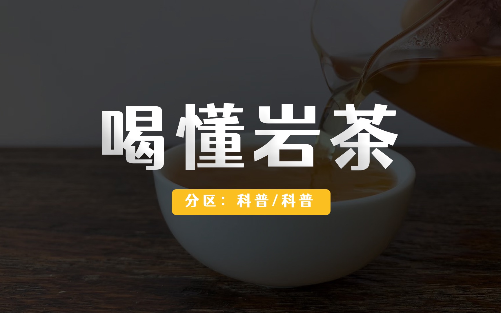 喝不懂岩茶的五个原因?哔哩哔哩bilibili