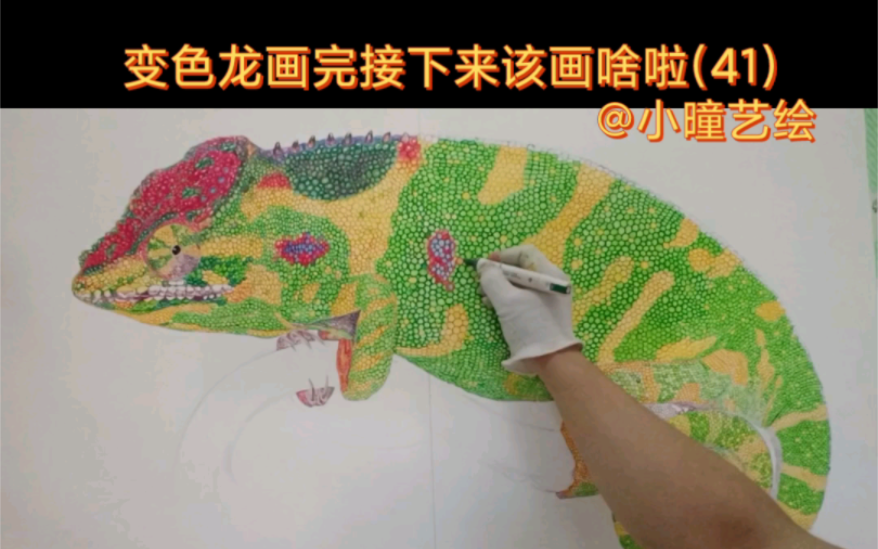 变色龙画完接下来该画啥啦(41)