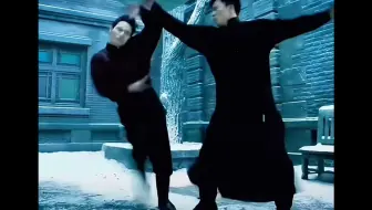 安志杰与向佐甄子丹的武打场面对比