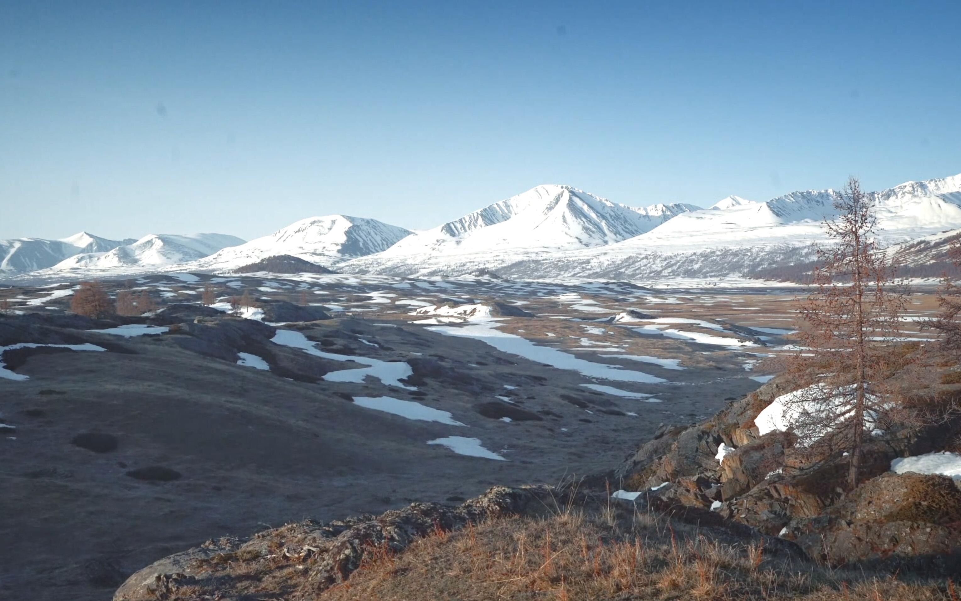 这次挑战有多难,德爷居然挑战失败了,蒙古阿尔泰山脉求生