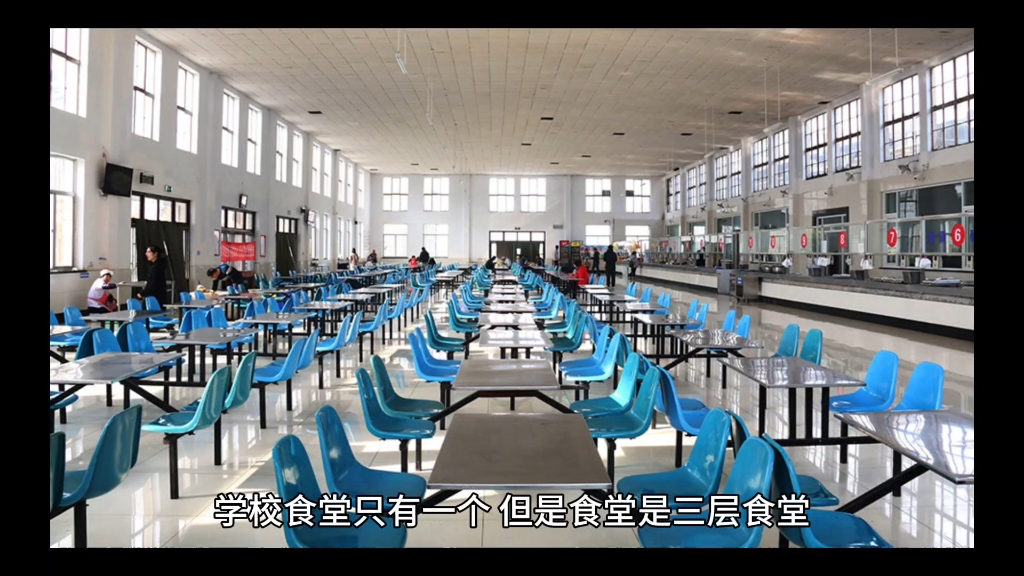 齐鲁医药学院