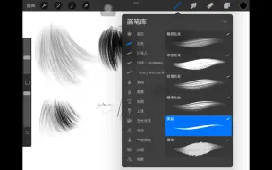 下载视频: 【procreate笔刷分享】毛发笔刷｜简介自取