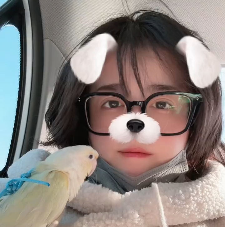 王菠萝版《麦当劳汉堡 好好好》