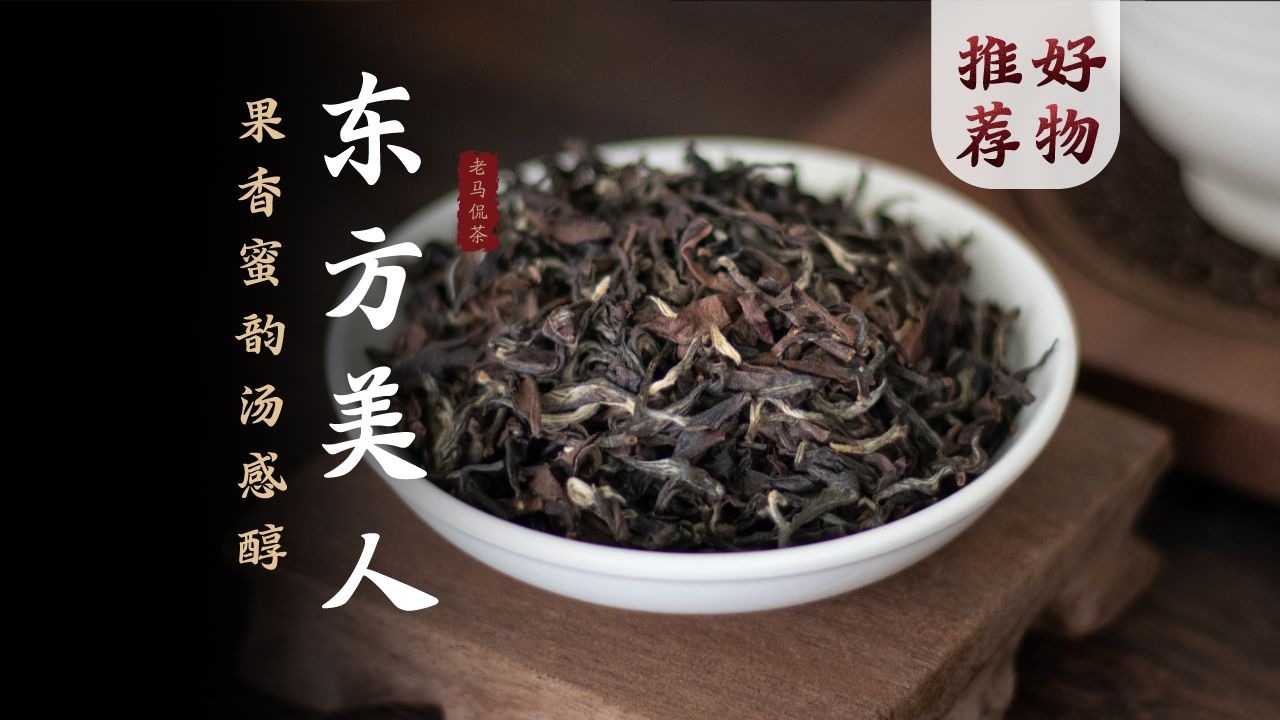 东方美人茶|人做一半,虫做一半的乌龙茶?哔哩哔哩bilibili