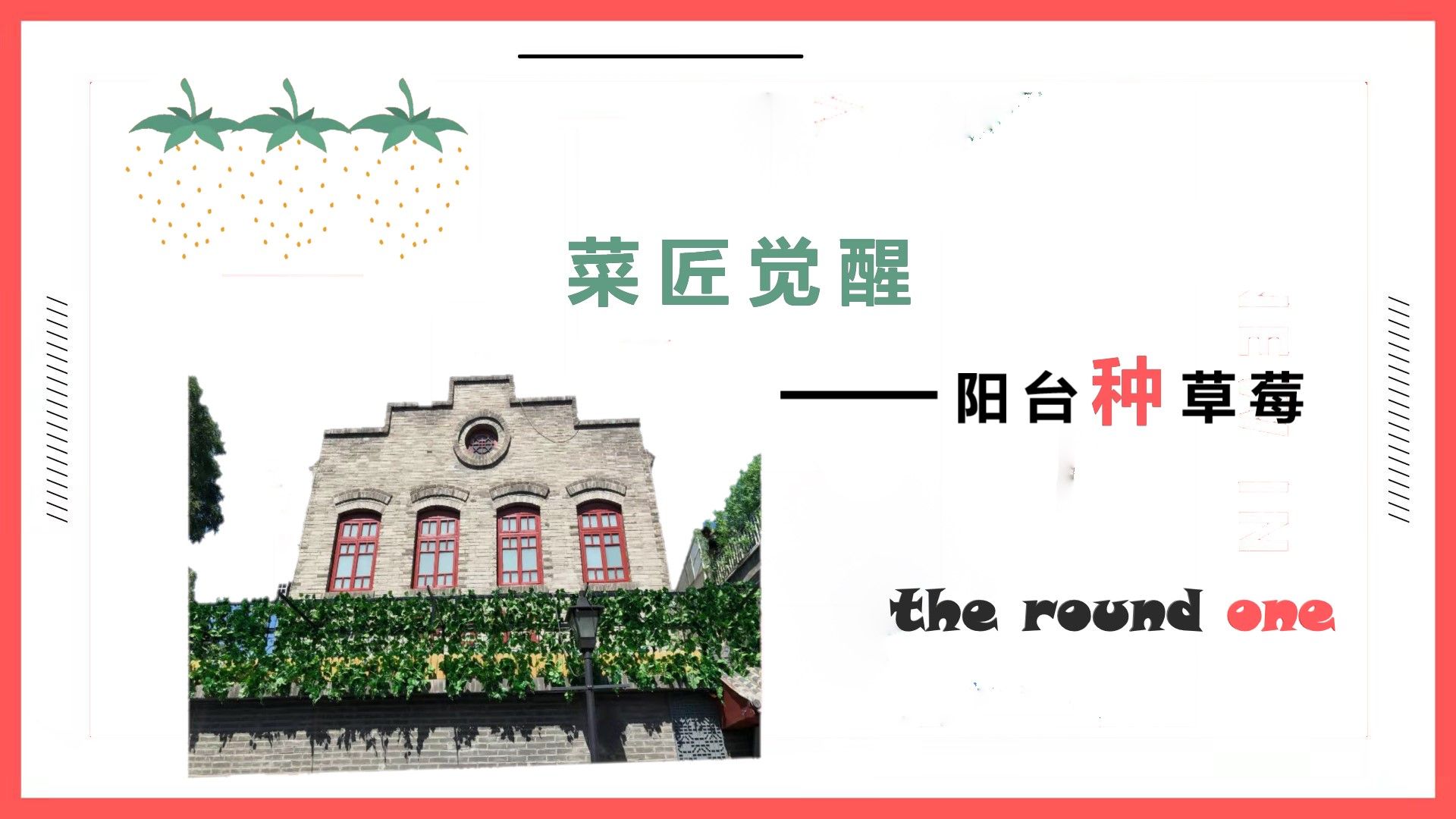 菜匠觉醒阳台种草莓第1回合