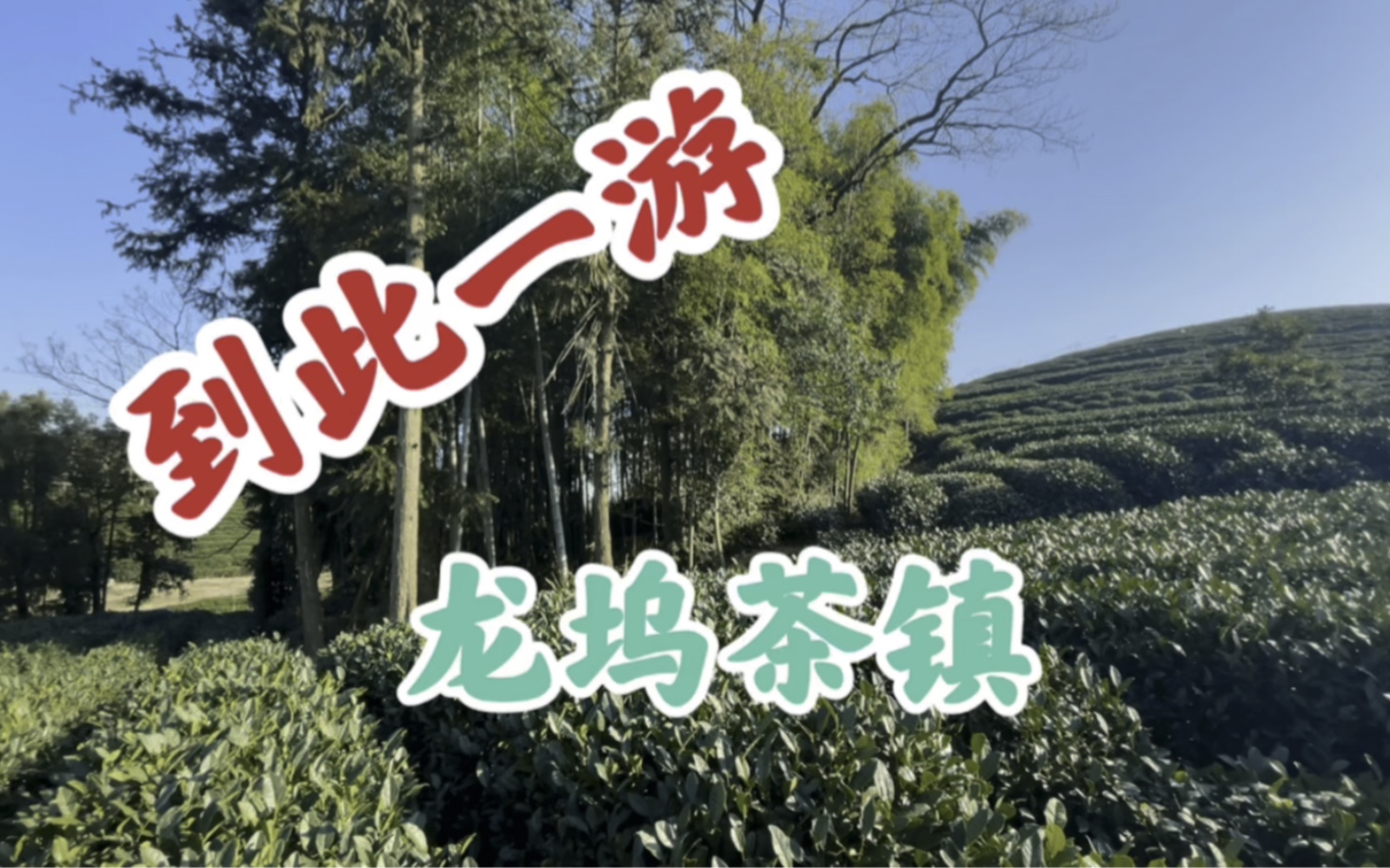 到此一游,龙坞茶镇