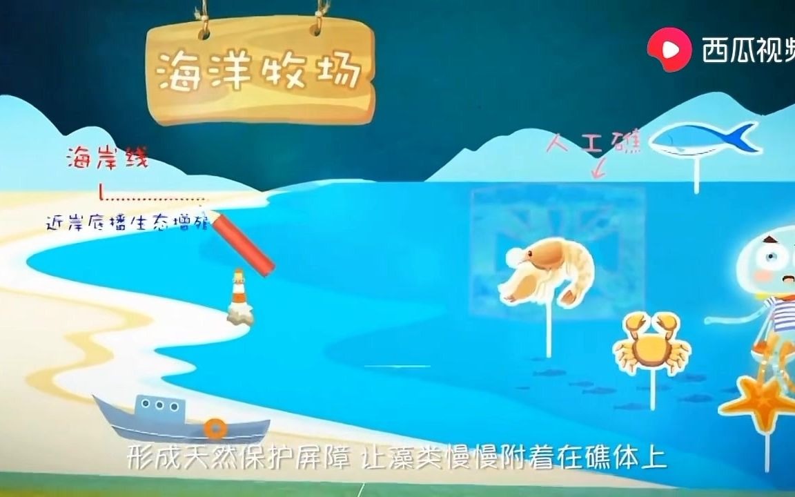 【海洋牧场】哔哩哔哩bilibili