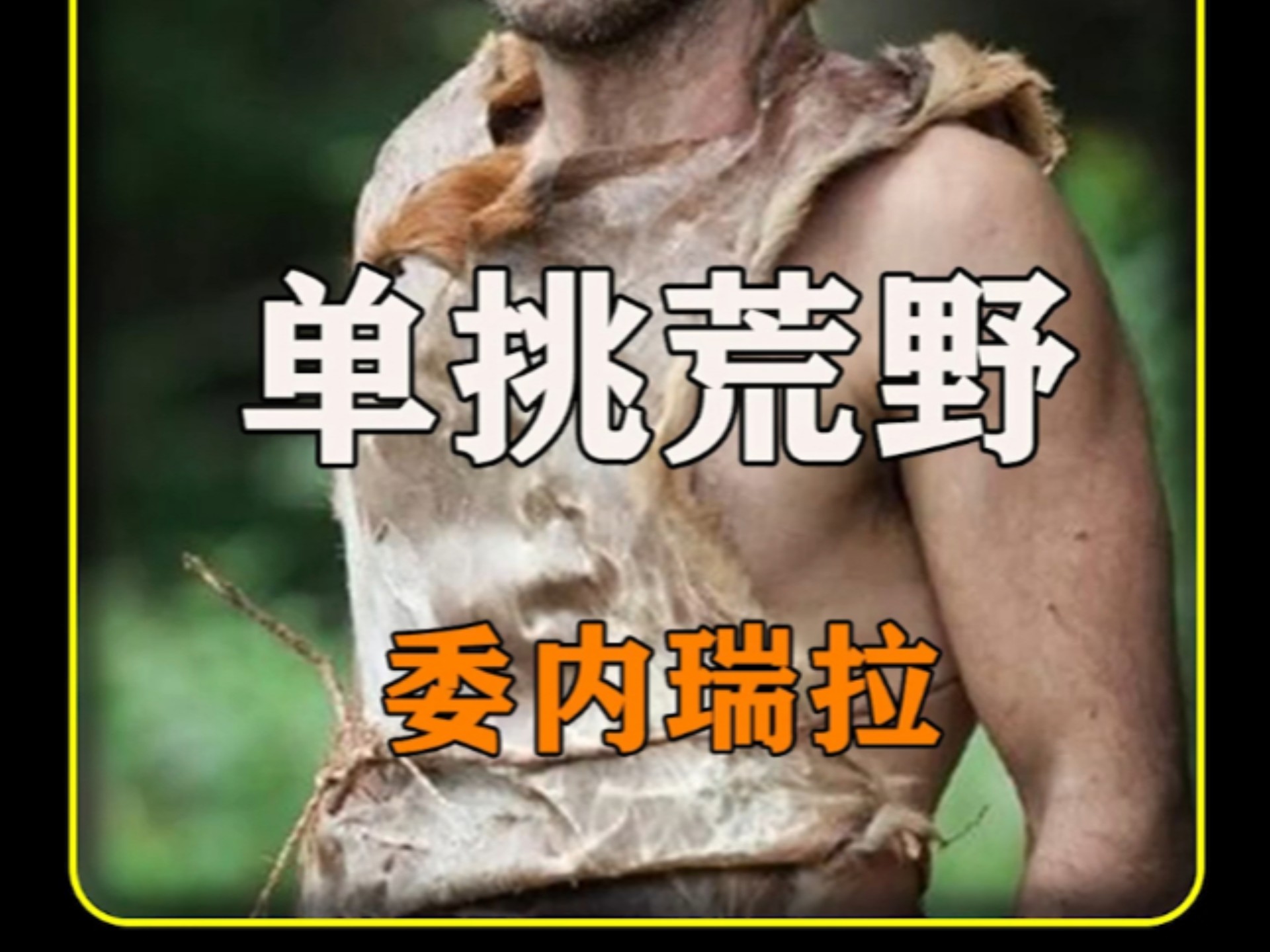 白捡头刺鼠实现蛋白质自由 #荒野求生 #野外生存 #德爷 #单挑荒野