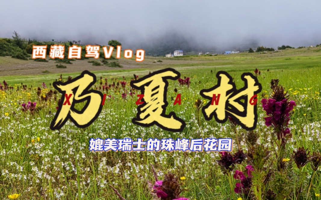 西藏旅行Vlog|胜过瑞士?胜过林芝鲁朗?这里就是珠峰后花园,吉隆沟乃夏村!哔哩哔哩bilibili