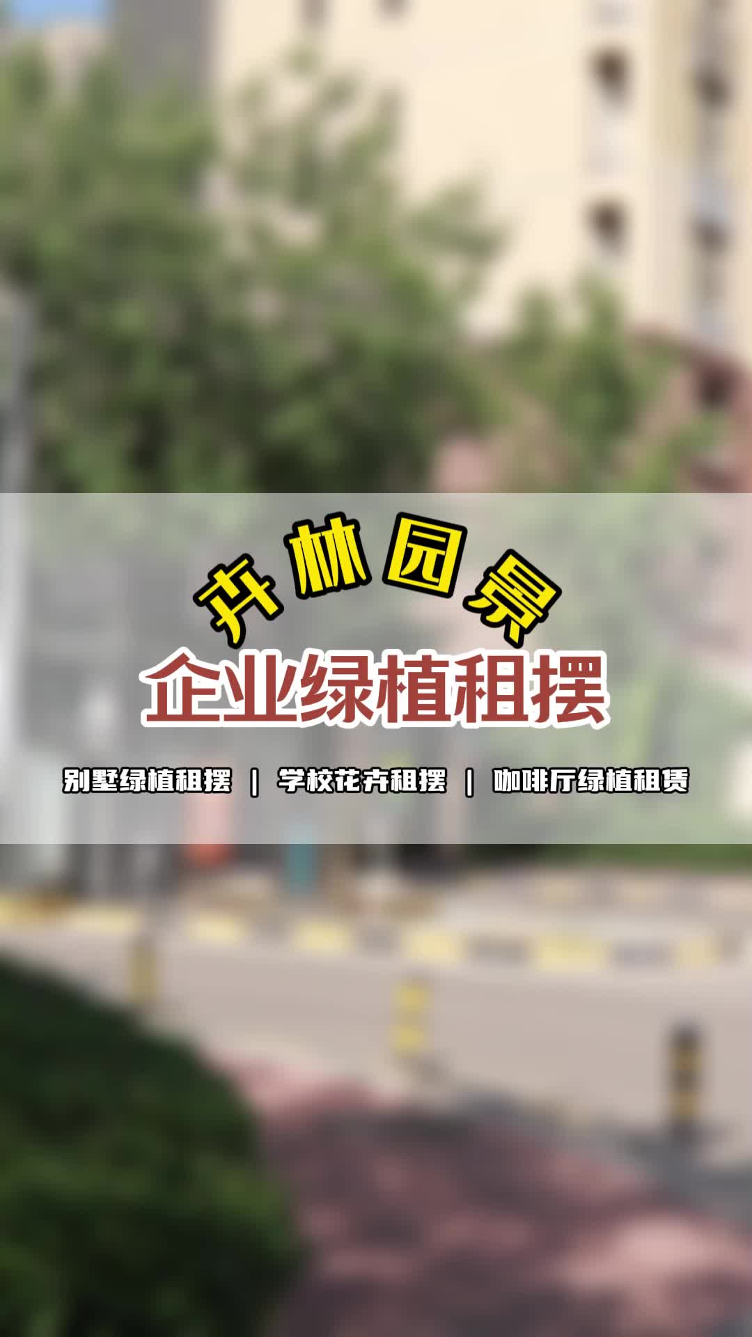 企業綠植租擺 #西城企業綠植租擺價格表 #懷柔企業綠植租擺批發 #企業