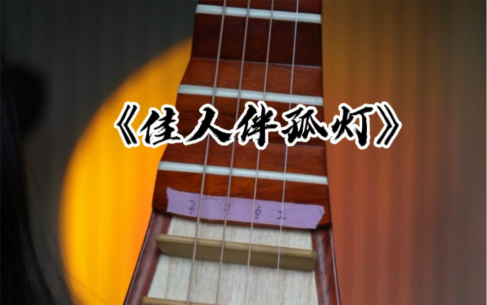 琵琶《佳人伴孤灯》