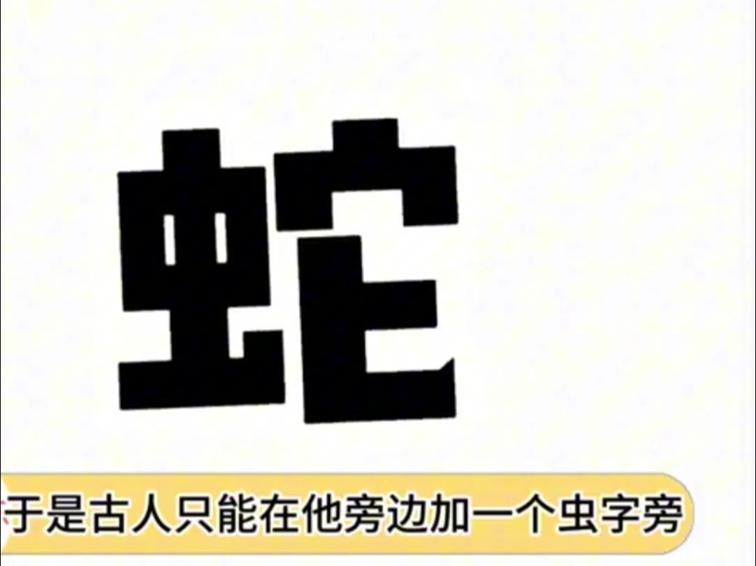 原来“它”这个字本来居然是蛇的意思万万没想到 文字哔哩哔哩bilibili