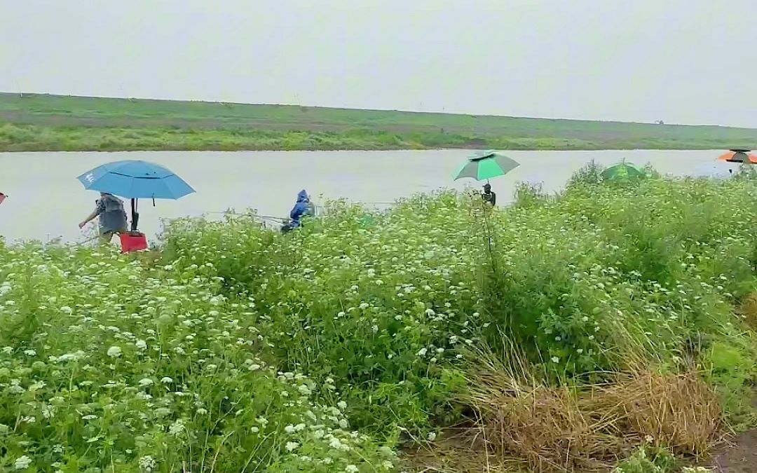 野河沟跟肖叔挑土钓鲢鳙哔哩哔哩bilibili