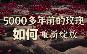 Download Video: 146秒带你穿越5000年 5000多年前的玫瑰如何重新“绽放”