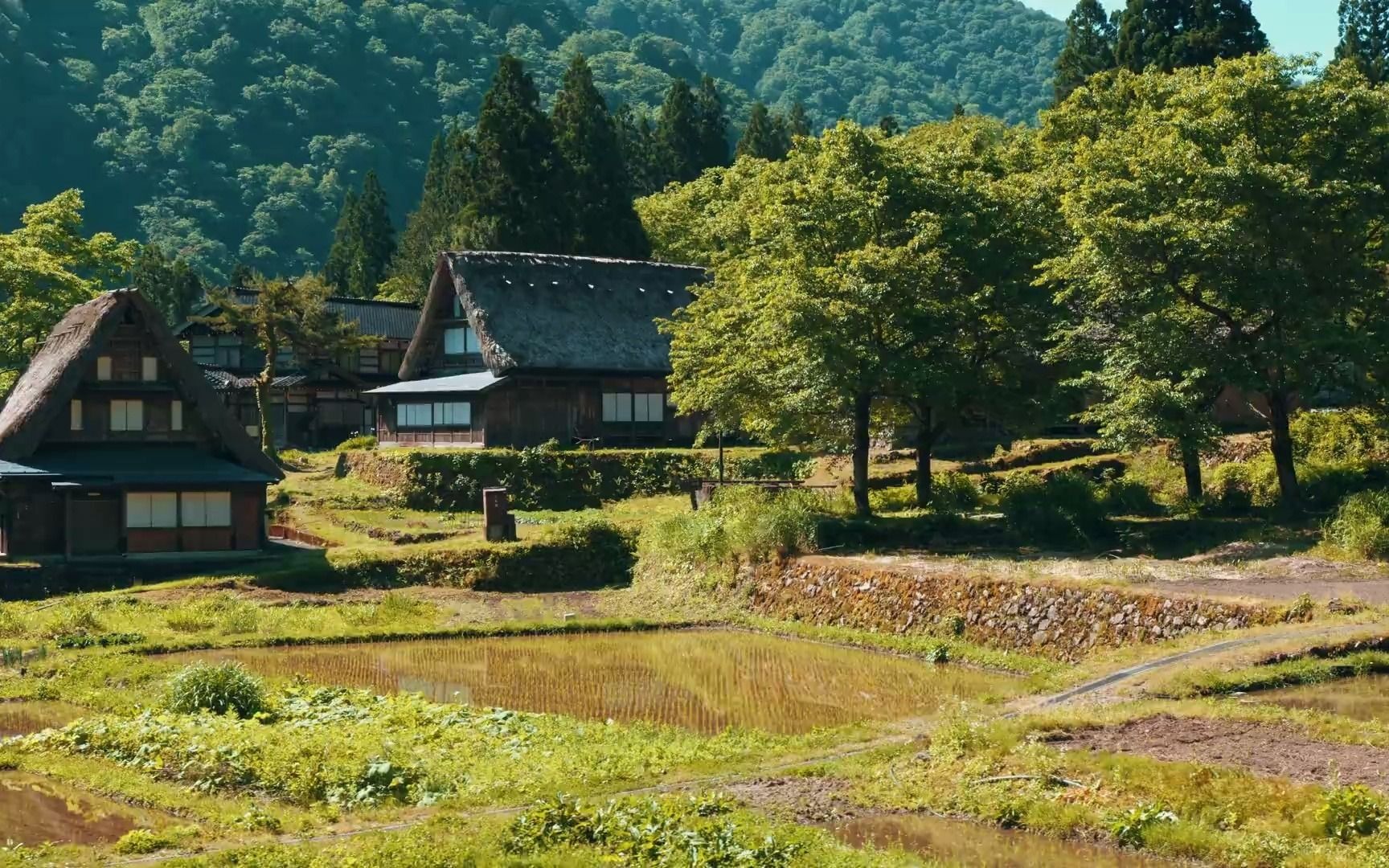 【世界遺産】五箇山风景区-日本富山县古村落
