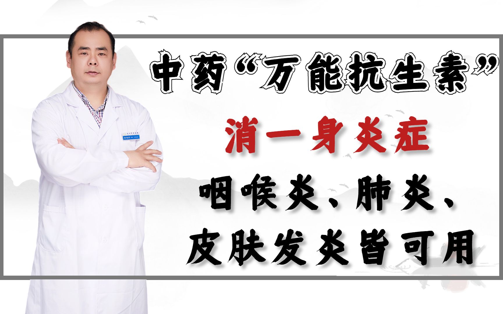 中药“万能抗生素”,消一身炎症,咽喉炎、肺炎、皮肤发炎皆可用哔哩哔哩bilibili