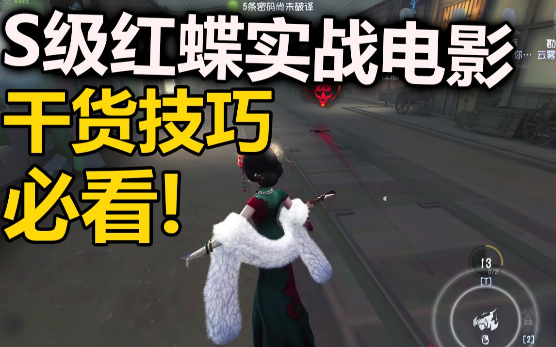 一小时红蝶实战电影,看完胜率直提100%