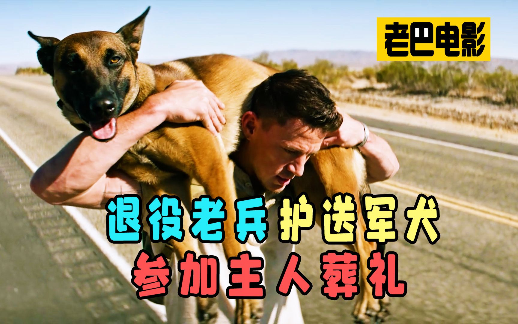 退役老兵护送军犬参加主人葬礼,一人一狗治愈无数观众!《忠犬》